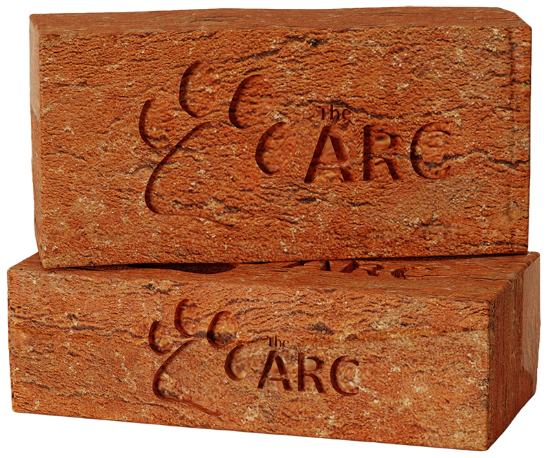 arc brick