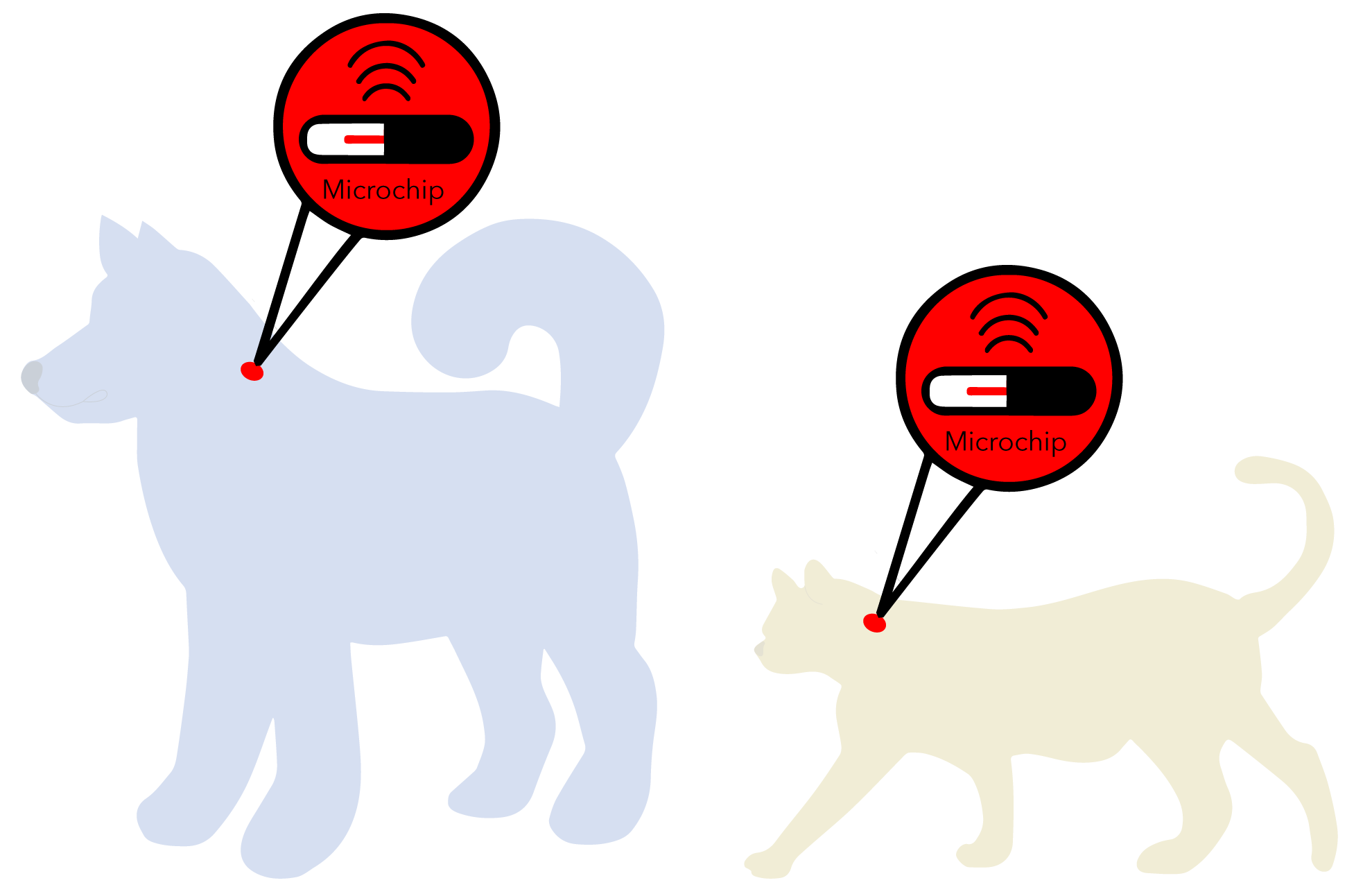 microchipped dogs