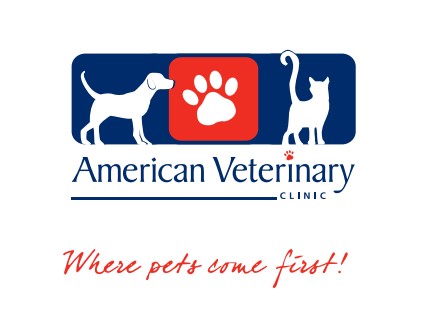 animal vetinary clinic